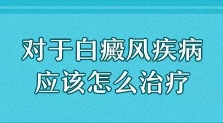 ãԤ緢